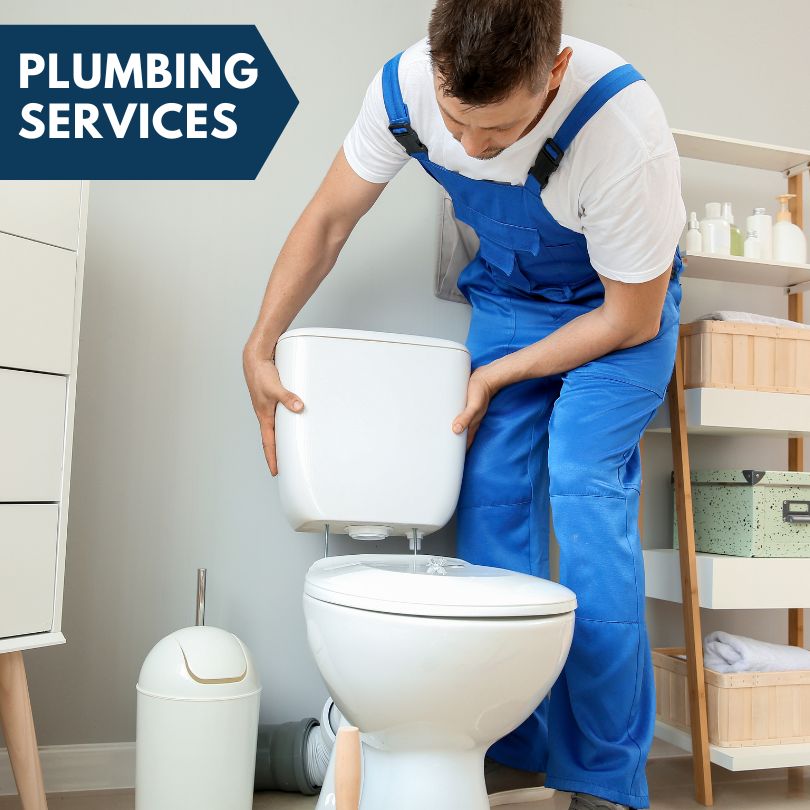Plumbing Company in Herman, MN